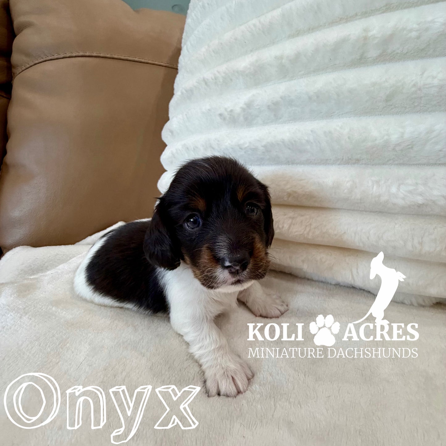 Onyx - Kora x Mack (2025) | RESERVED