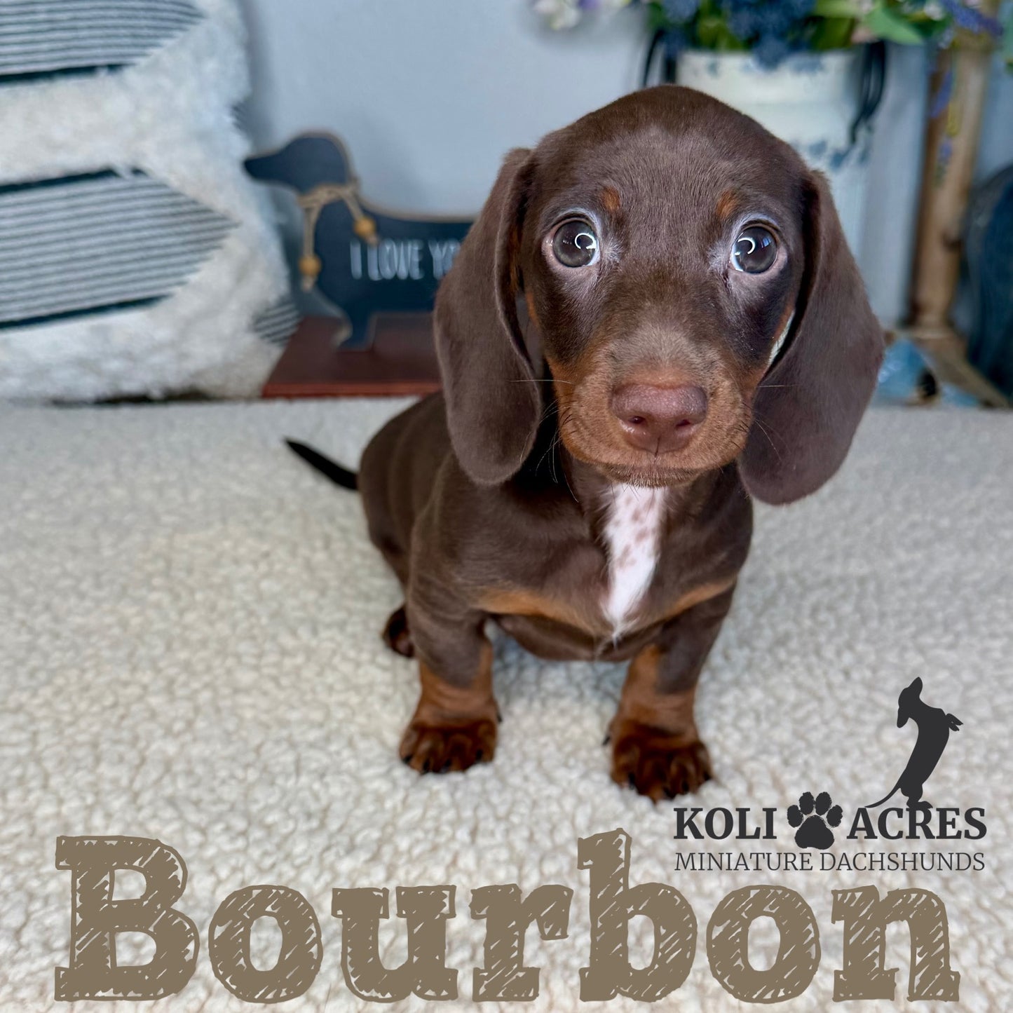 Bourbon - Kora x Mack (2025) | AVAILABLE