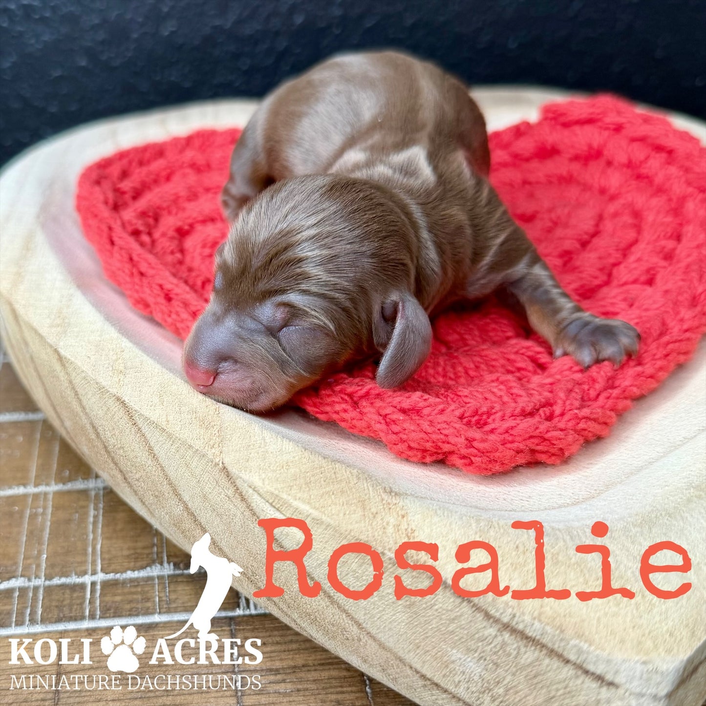Rosalie - Ember x Mack (2026) | RESERVED